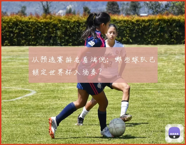 从预选赛排名看端倪:哪些球队已锁定世界杯入场券?