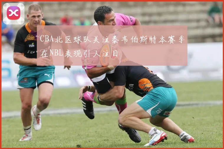 CBA北区球队关注泰韦伯斯特本赛季在NBL表现引人注目