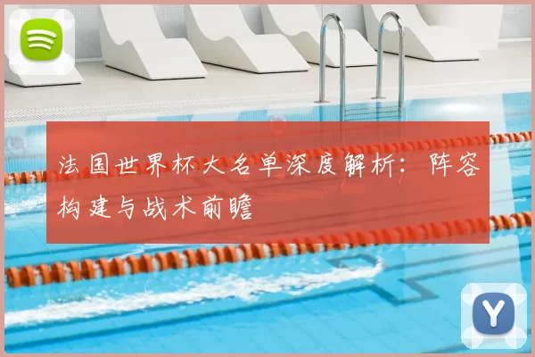 法国世界杯大名单深度解析:阵容构建与战术前瞻