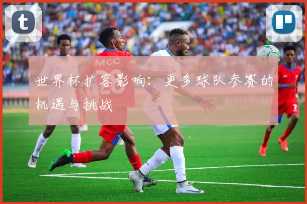 世界杯扩容影响：更多球队参赛的机遇与挑战