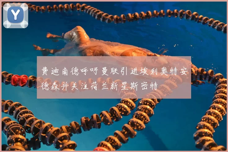 费迪南德呼吁曼联引进埃利奥特安德森并关注荷兰新星斯密特