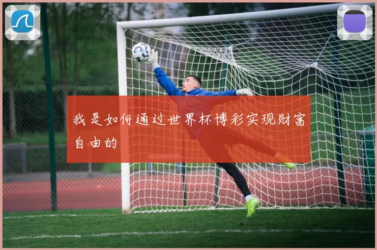 我是如何通过世界杯博彩实现财富自由的