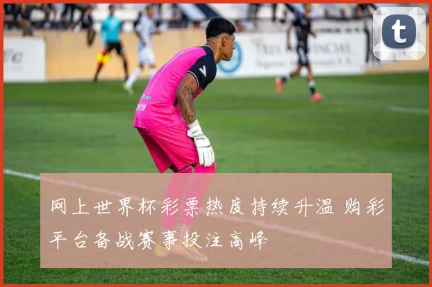 网上世界杯彩票热度持续升温 购彩平台备战赛事投注高峰